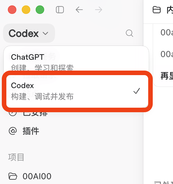 Codex 入口